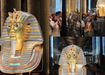 WhatsApp Image 2026-03-08 at 2.11.44 PM (2)